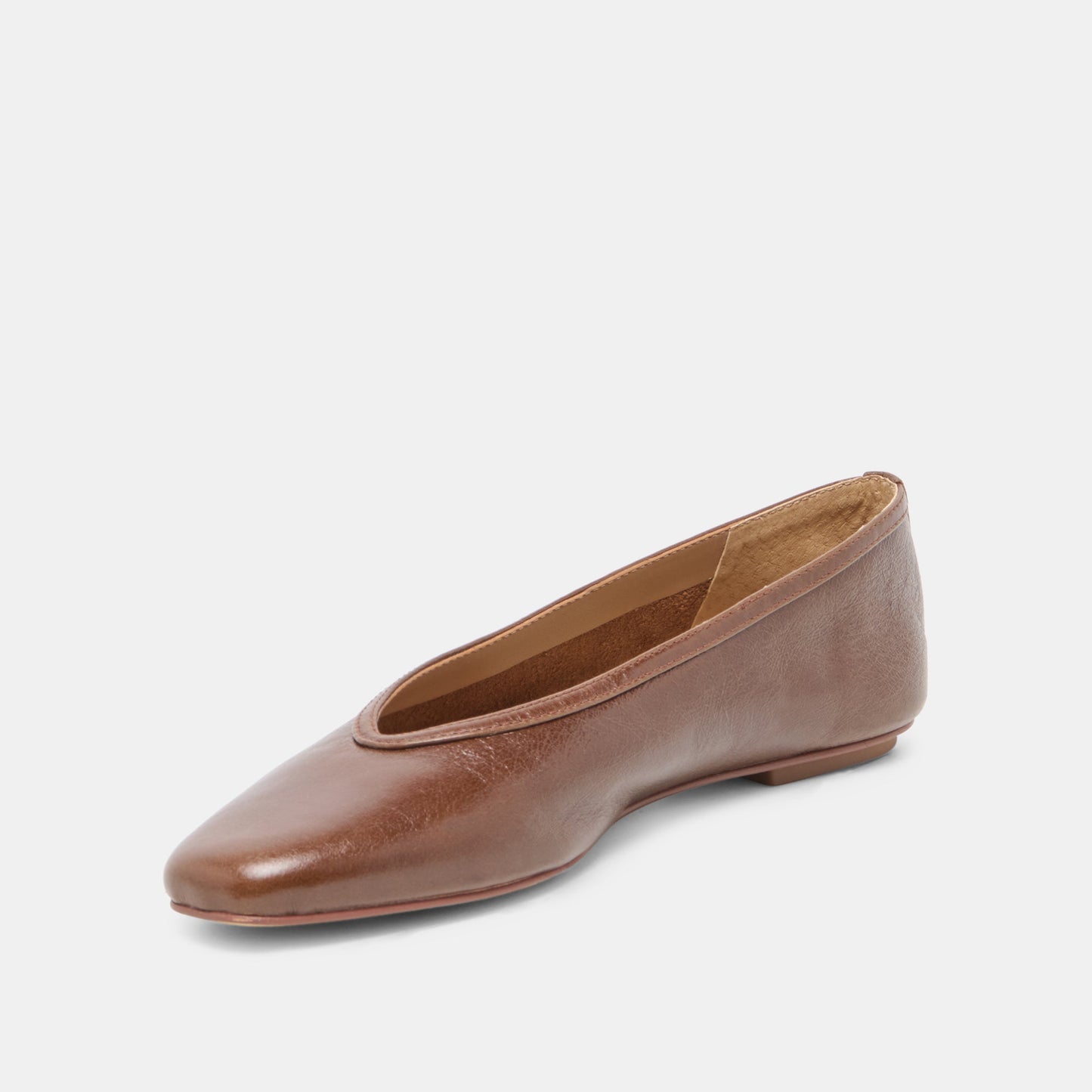CARET Russet Leather Pointed-Toe Ballet Flats Dolce Vita New