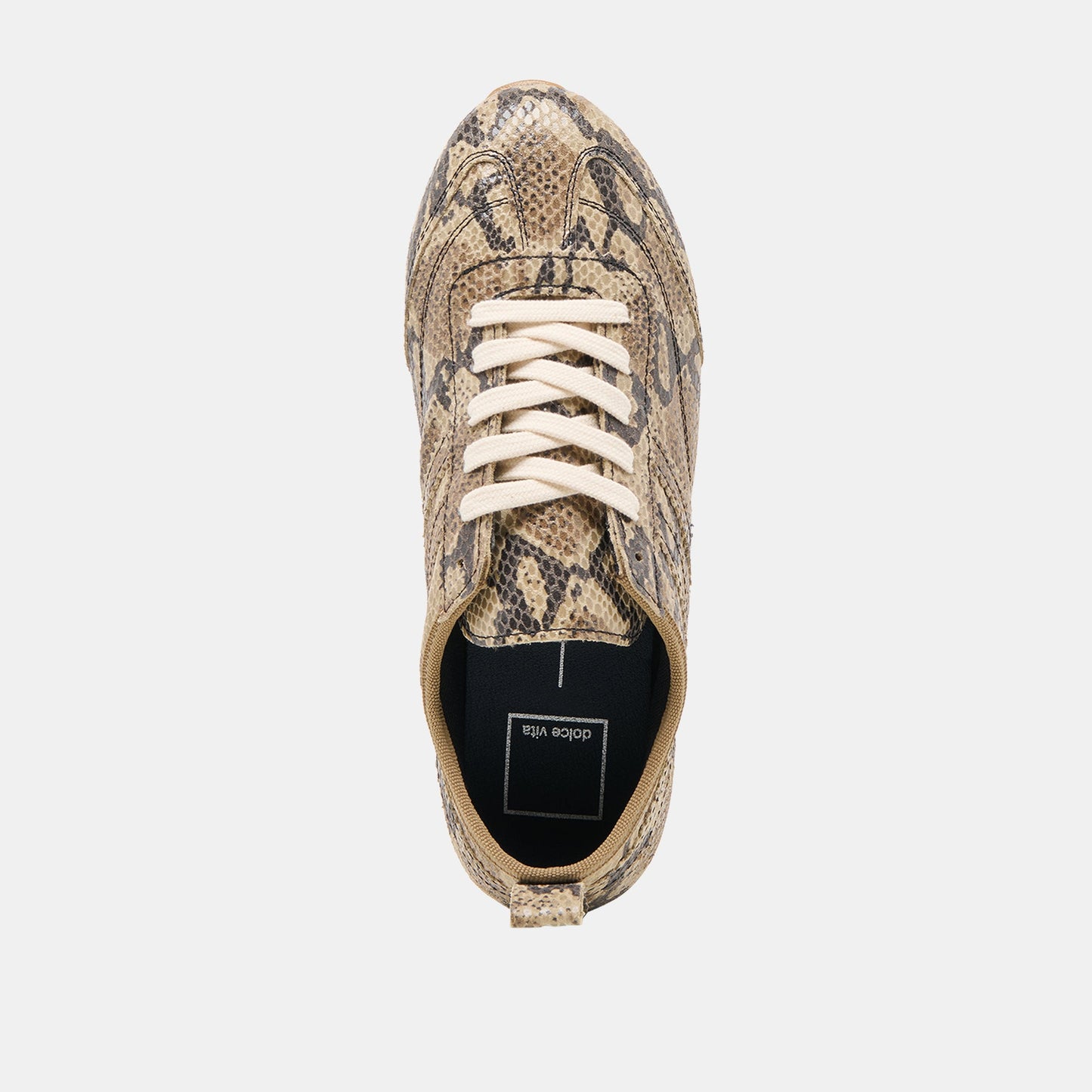 Viper Snake Print Embossed Leather Sneakers Dolce Vita Outlet