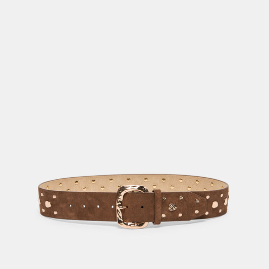 Rectangle Buckle Brown Suede Gold Studded Belt Dolce Vita Online
